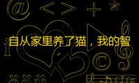 自从家里养了猫，我的智商是越来越不够用
，每天找猫猫让我头秃